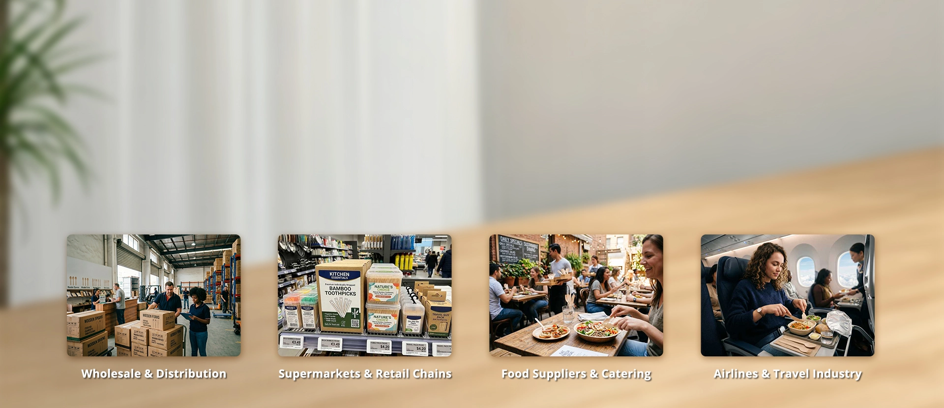 Shuntong eco-friendly disposable tableware solutions for global wholesale, retail, catering, and airline industries.